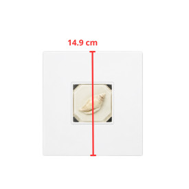 ANΕΜΙΣΤΗΡΑΣ ΜΠΑΝΙΟΥ ''W.C'' D100TNL ΜΕ XPOΝΟΔΙΑΚΟΠΤΗ AFFRESCO DECORATIVE ''NATURAL'' Ø100 GREENWOOD