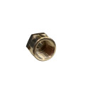 Eksarthma-aeros-systolh-1-8NPT-ars-1-4NPT-thyl-ACRTOOLS 