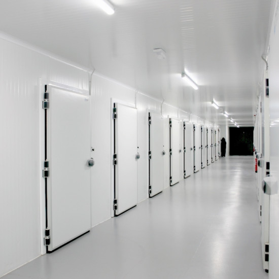 Single-cold-room-hinged-door-right-opening-white-200-100cm-without-counter-frame-bottom-frame-typeA-locking-mechanism-freezing-applications-INFRACA