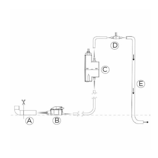 Antlia-aporripshs-sympyknwmatwn-CLIM-PACK-S-econ-ACRTOOLS 