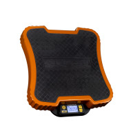 WS260 Precision Scale Appion USA 