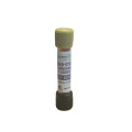 Fwsforouxo-prosthetiko-se-kapsoula-GS-101-E-ESTER-GLO-STICK-SPECTROLINE Fwsforouxo-prosthetiko-se-kapsoula-GS-101-E-ESTER-GLO-STICK-SPECTROLINE