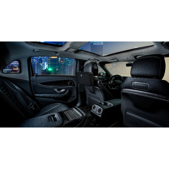 Smart air purifier for cars LAC100 , LIFA air ...