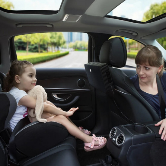 Smart air purifier for cars LAC52 , LIFA air ...