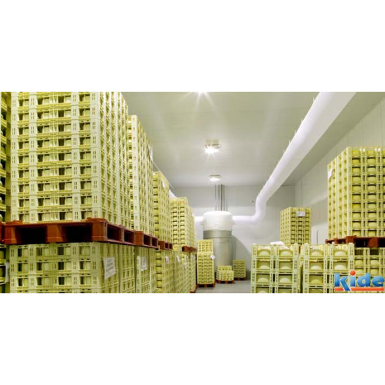 Industrial Coldroom Industrial Coldroom